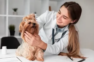 Pet Vaccination Services in Abu Dhabi