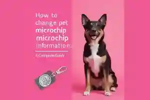 How to Change Pet Microchip Information