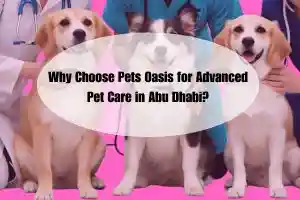 Advanced Pet Care Abu Dhabi