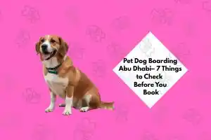 Pet Dog Boarding Abu Dhabi