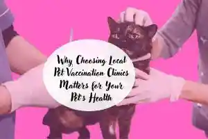 Local Pet Vaccination Clinics