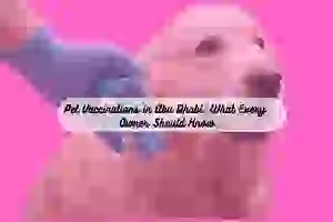 pet vaccination abu dhabi