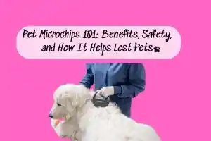 what is Pet Microchip